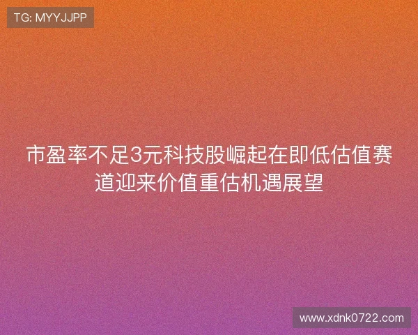 市盈率不足3元科技股崛起在即低估值赛道迎来价值重估机遇展望 市盈率不足3元科技股崛起在即低估值赛道迎来价值重估机遇展望